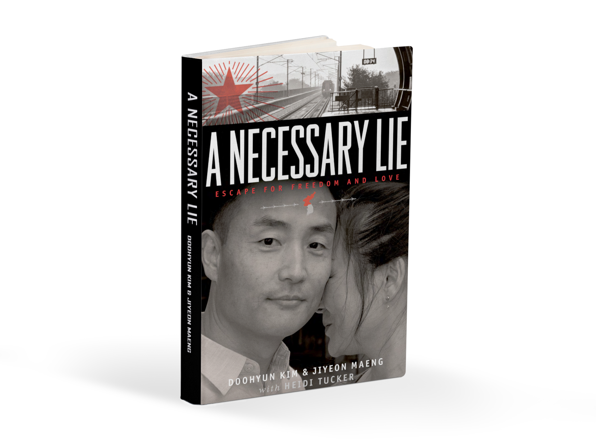 A Necessary Lie (Paperback Book)